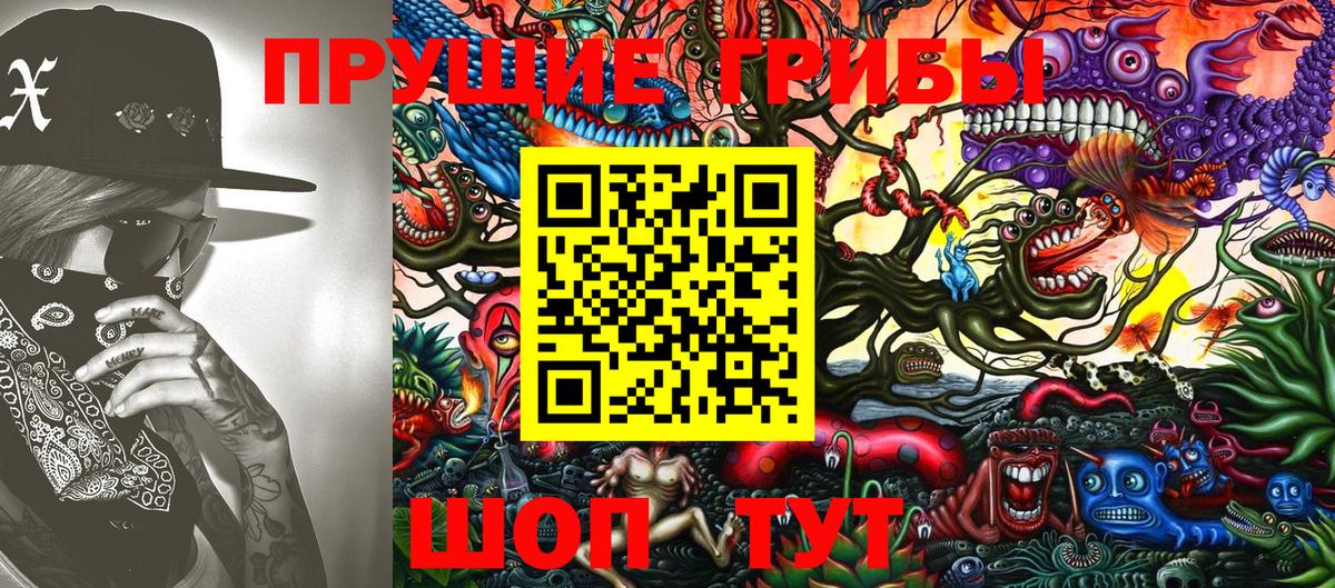 Гатчина  Псилоцибиновые грибы Psilocybine cubensis  Вход с VPN  Псилоцибиновые грибы Psilocybine cubensis 